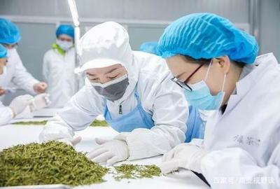 匠心成就優良品質 杜國楹的小罐茶獲艾問認可